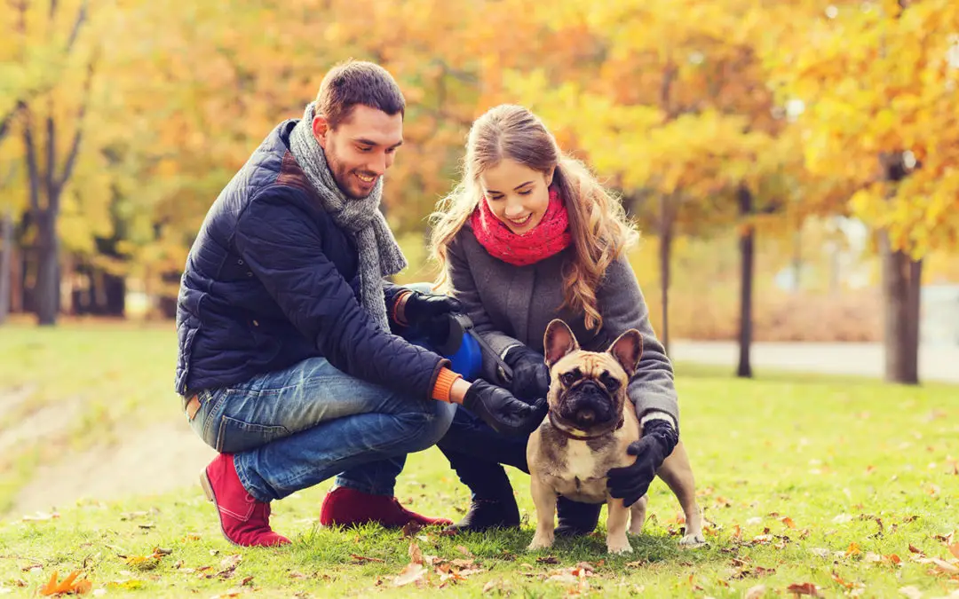 Is a French Bulldog the Right Pet for You?